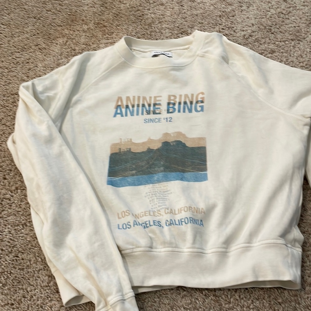 Anine Bing Sweatshirt!  Size Small, Great Condition. Fairly TTS.